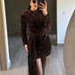 Vestido Lentejuelas Café
